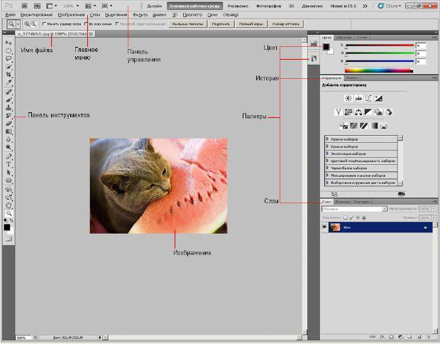 Adobe Photoshop Cs5       -  4