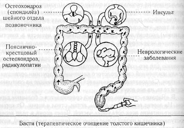 Аюрведа и панчакарма. Методы исцеления и омоложения