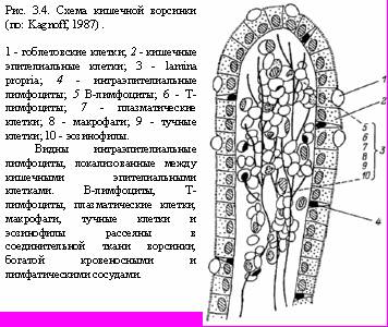 Теория адекватного питания и трофология