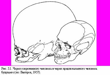 Теория адекватного питания и трофология