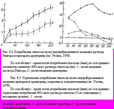 Теория адекватного питания и трофология