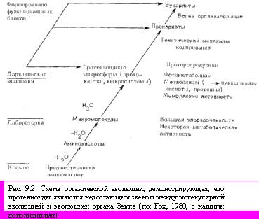 Теория адекватного питания и трофология