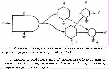 Теория адекватного питания и трофология