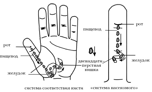  Целительные точки на ступнях и ладонях. Су-джок для всей семьи 1025134-Autogen_eBook_id127