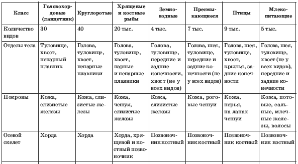 Учебнный Фильм Углеводы Бесплатно