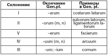 как выписать рецепт на латинском языке образец