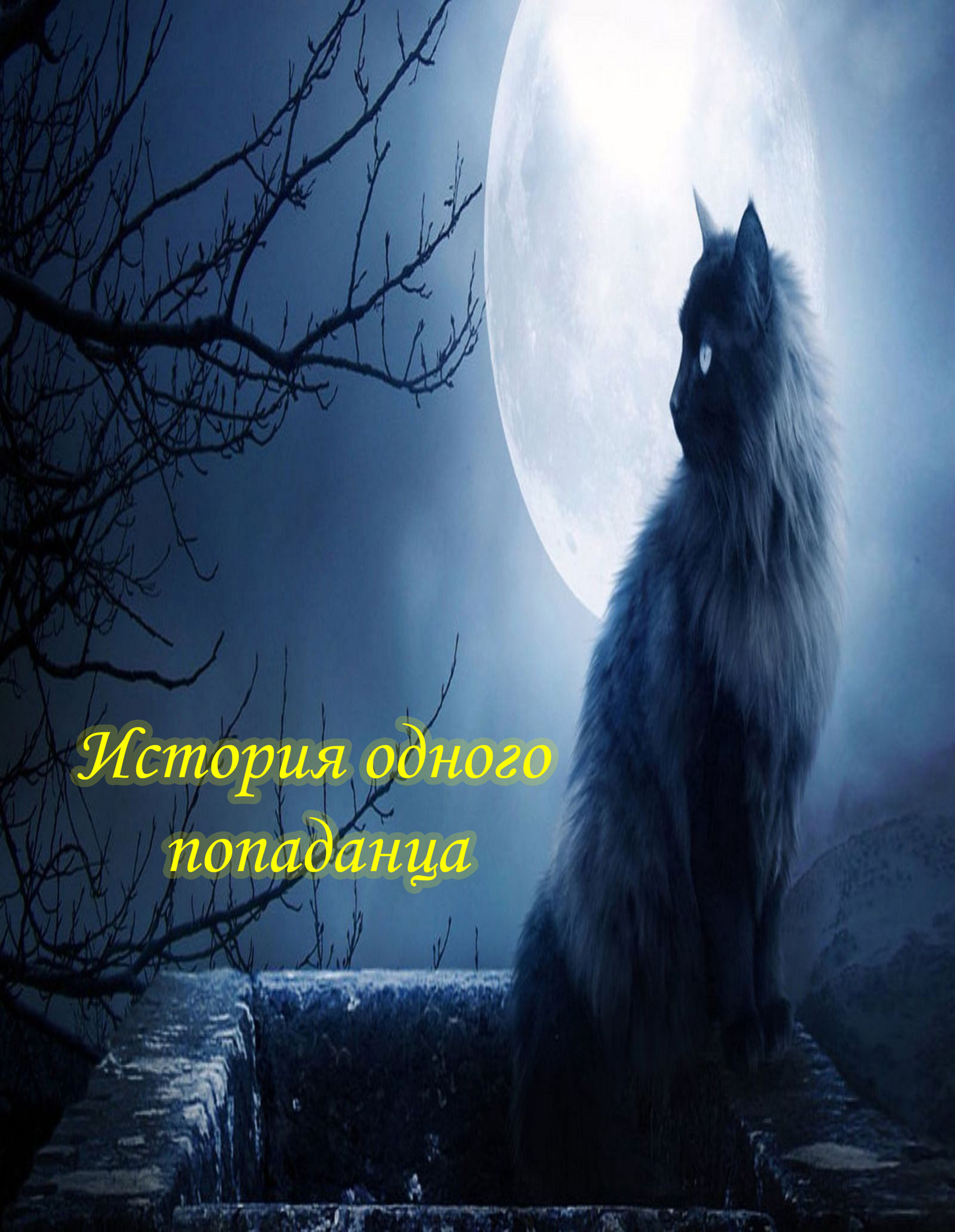 Я некромант. Часть 1 Андрианов Валерий