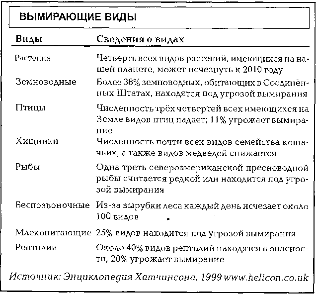 Потреблятство. Болезнь, угрожающая миру