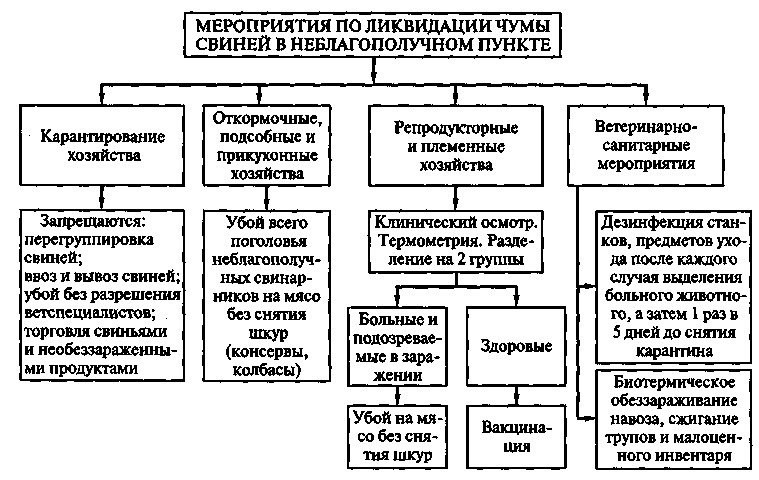 Инструкция по предупреждению и ликвидации классическая чума свиней