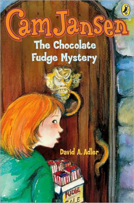 The Chocolate Fudge Mystery