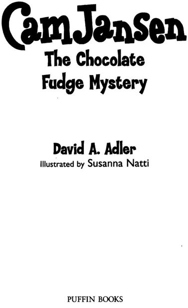 The Chocolate Fudge Mystery