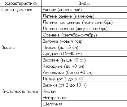 Рассада. Лучше, чем у всех!