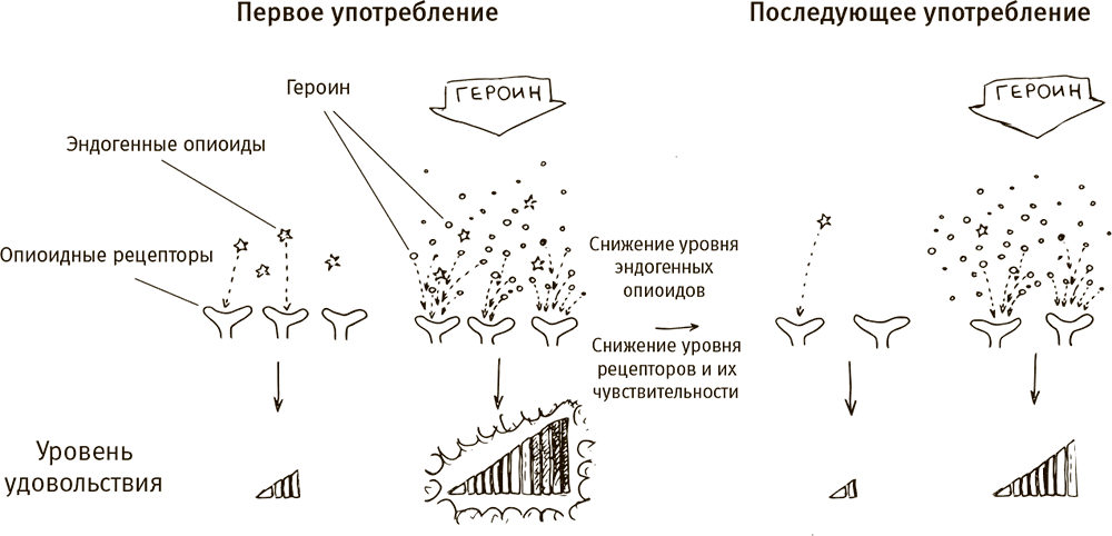 fossils