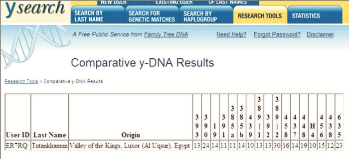 Занимательная ДНК-генеалогия. Новая наука дает ответы