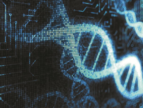 Занимательная ДНК-генеалогия. Новая наука дает ответы