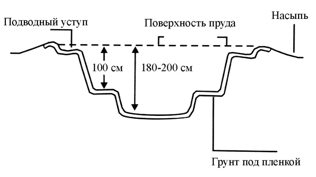 Обустройство дачного участка. Быстро, красиво, экономно