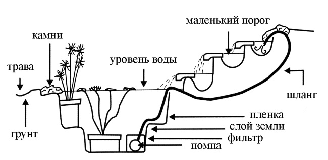 Обустройство дачного участка. Быстро, красиво, экономно