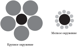 Левое полушарие – правильные решения. Мыслить и действовать: как интуиция поддерживает логику