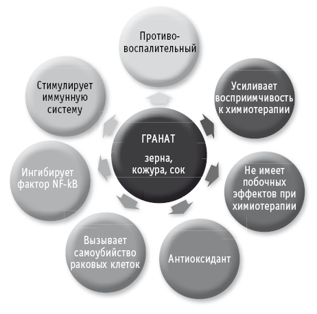 Мои рецепты от рака. Опыт врача, победившего онкологию