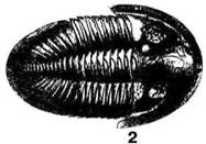 Мифы цивилизации