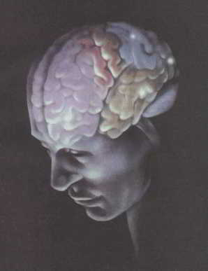 Мозг, разум и поведение