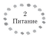 Жизнь в стиле соло: как жить одному и наслаждаться этим