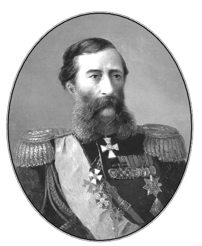 Дневник. 1873–1882. Том 2