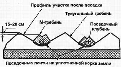 Журнал «СДЕЛАЙ САМ» № 1 2001