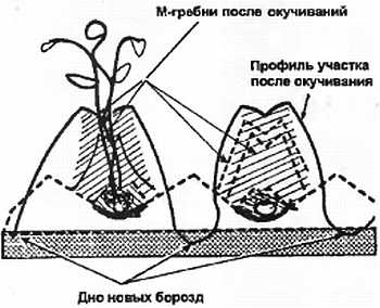 Журнал «СДЕЛАЙ САМ» № 1 2001