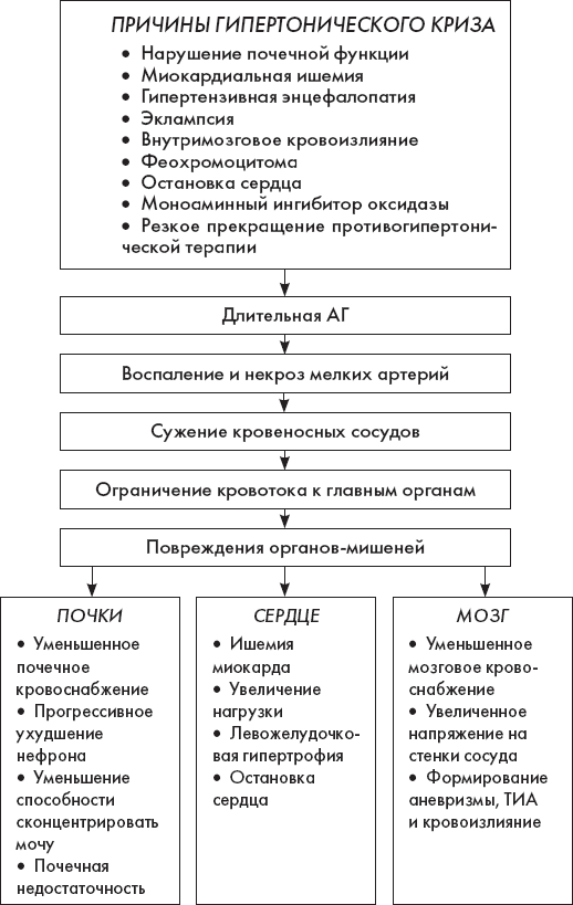 Инструкция тактика медперсонала при выявлении кишечной инфекции