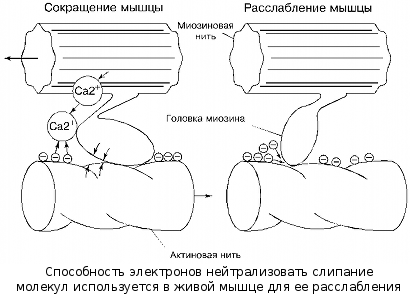 Эфир. Русская теория