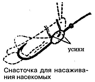 Тайны рыбацкого счастья