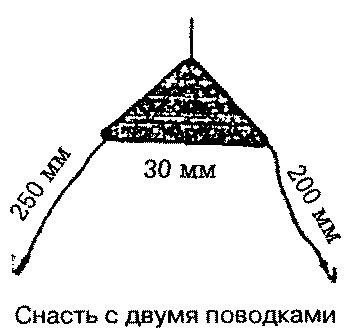 Тайны рыбацкого счастья