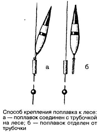 Тайны рыбацкого счастья