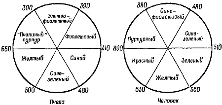 Чувства животных