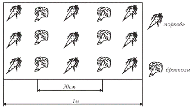 online plant evolution and the origin of crop species 2012