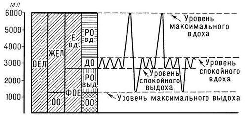 Большая Советская Энциклопедия (ЛЕ)