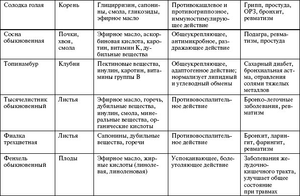 Здоровье опорно-двигательной системы